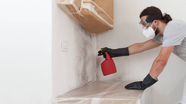 Professional Crawl Space Mold Removal technician working in Pine Brook, NJ