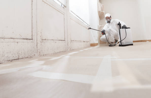 24/7 Emergency Crawl Space Mold Removal experts in Pine Brook, NJ