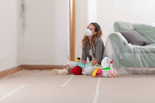 Reliable Crawl Space Mold Removal contractor in Pine Brook, NJ by WQB Mold Removal