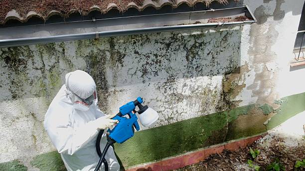 Top rated local Crawl Space Mold Removal specialists in Pine Brook, NJ